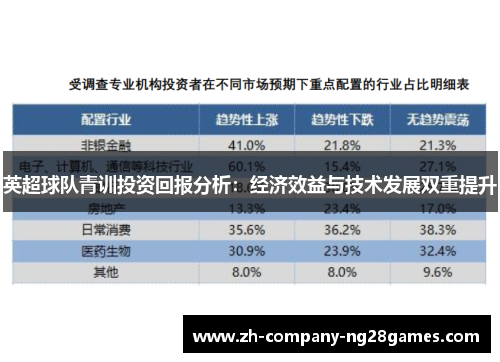 英超球队青训投资回报分析：经济效益与技术发展双重提升